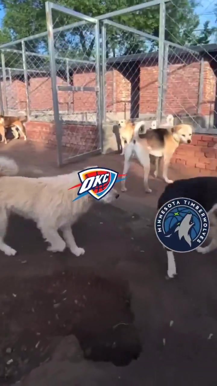 ?火到国外了！俄城警察局P图庆祝雷霆西部冠军：狗王来也~